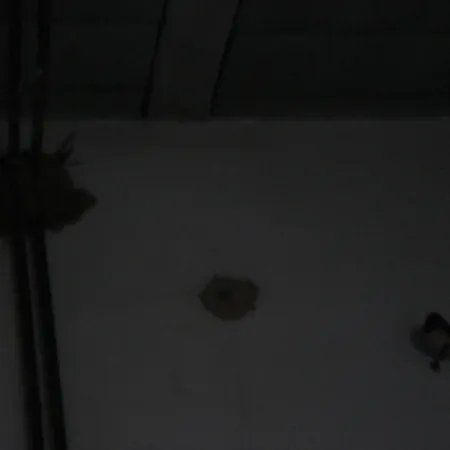 Appartamento Avec Jardin Et Parking Prives *